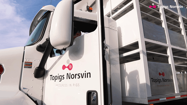 Topigs Norsvin México presenta nuevo transporte